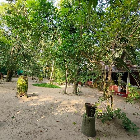 Abba Marari Beach Villas & Homestay Mararikulam Alappuzha Bagian luar foto