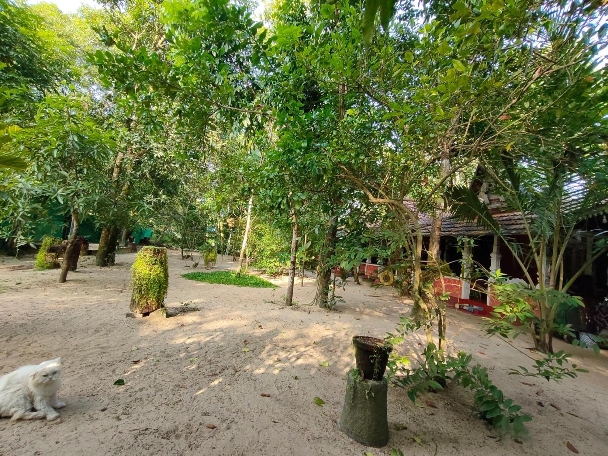 Abba Marari Beach Villas & Homestay Mararikulam Alappuzha Bagian luar foto